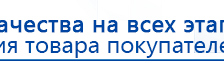 Прибор Дэнас ПКМ купить в Кемерово, Аппараты Дэнас купить в Кемерово, Дэнас официальный сайт denasolm.ru
